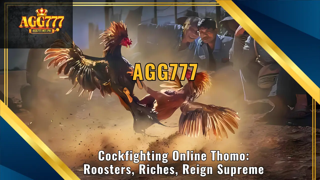 Cockfighting Online Thomo AGG777